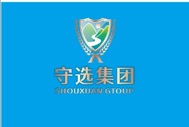 守选集团头像