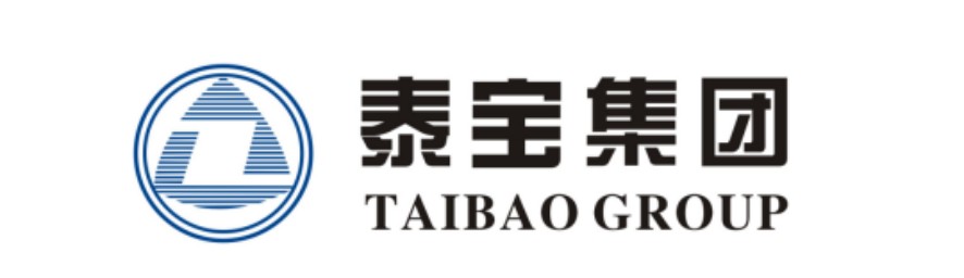 泰宝集团头像